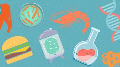 A blue background with floating images of petri dishes, a cow, a cheeseburger, a shrimp, a beaker, a scientist holding up a test tube and a double helix.