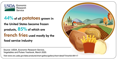 44% of all potatoes grown in the United States become frozen products, 85% of which are french fries used mostly by the food service industry.