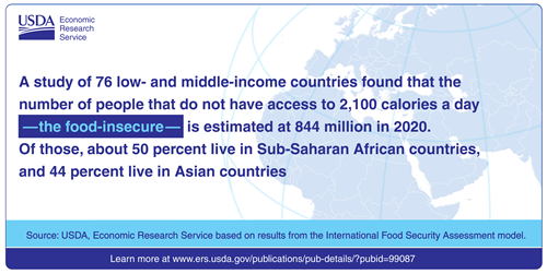 A study of 76 low- and middle-income countries found that the number of people that do not have access to 2,100 calories a day - the food insecure - is estimated at 844 million in 2020. Of those, about 50 percent live in Sub-Saharan African countries, and 44 percent live in Asian countries.