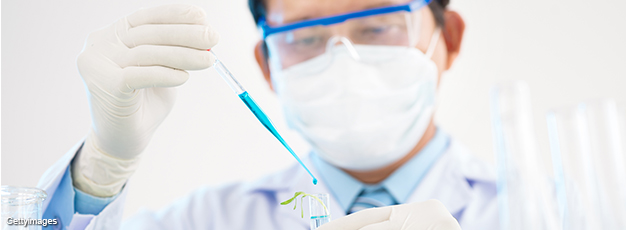 Researcher in lab pouring liquid into test tube that has a sprout