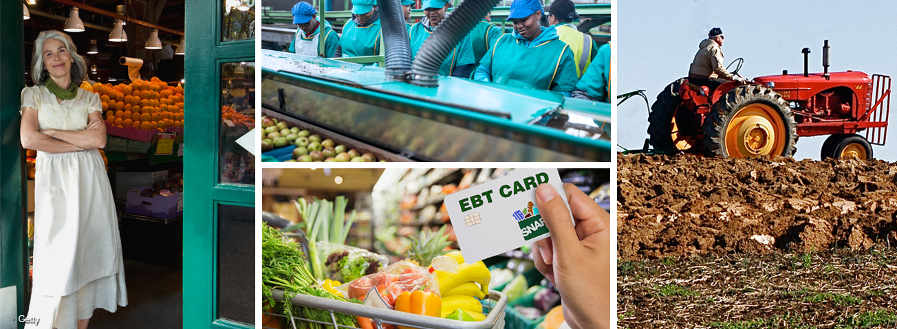 Photo collage: Woman business owner, factory workers, hand basket with groceries, farmer on tractor