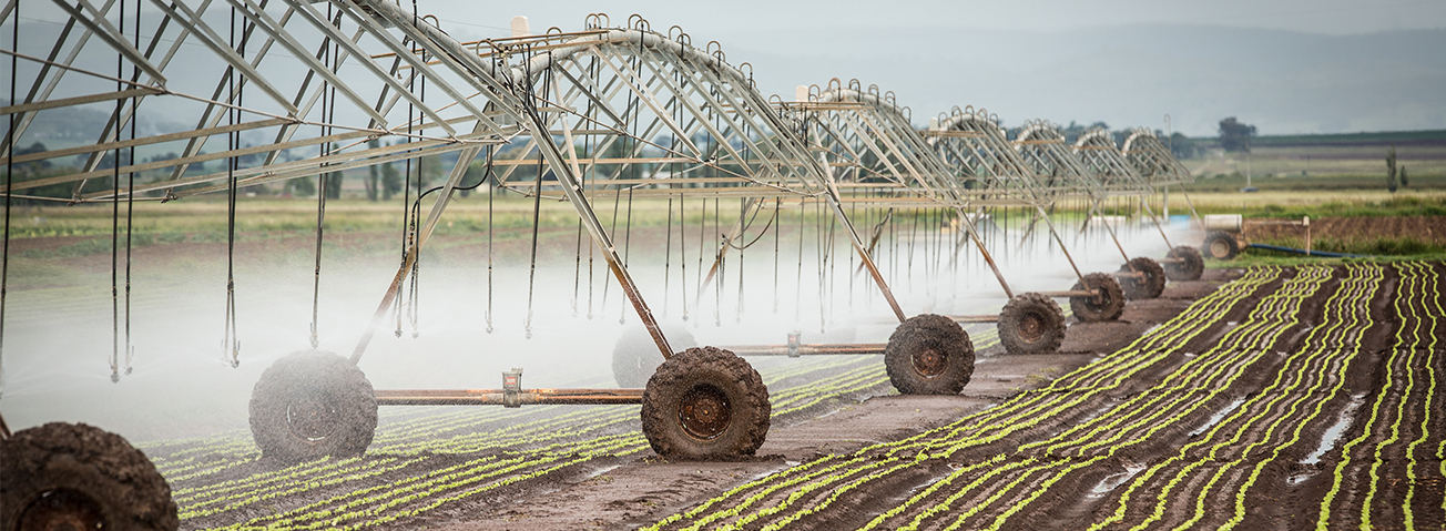 Irrigation system spraying water