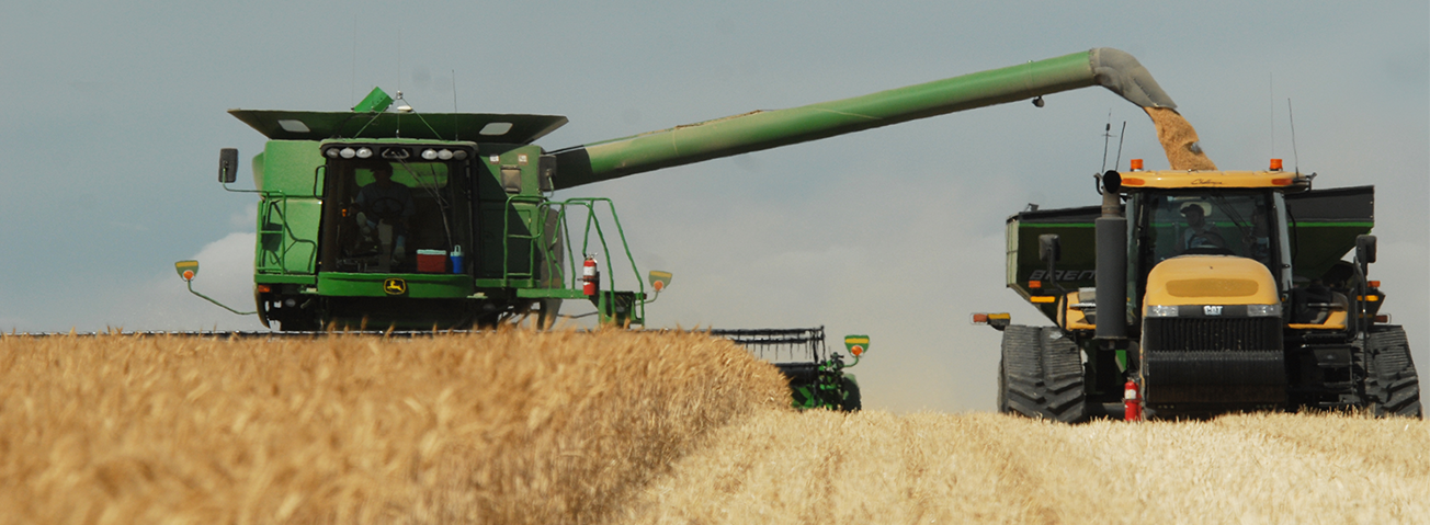 Combine working in field