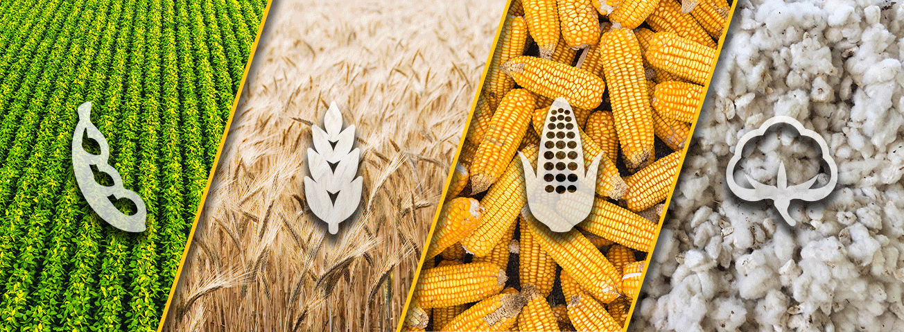 A series of pictures and representative logos for soybeans, wheat, corn, and cotton.