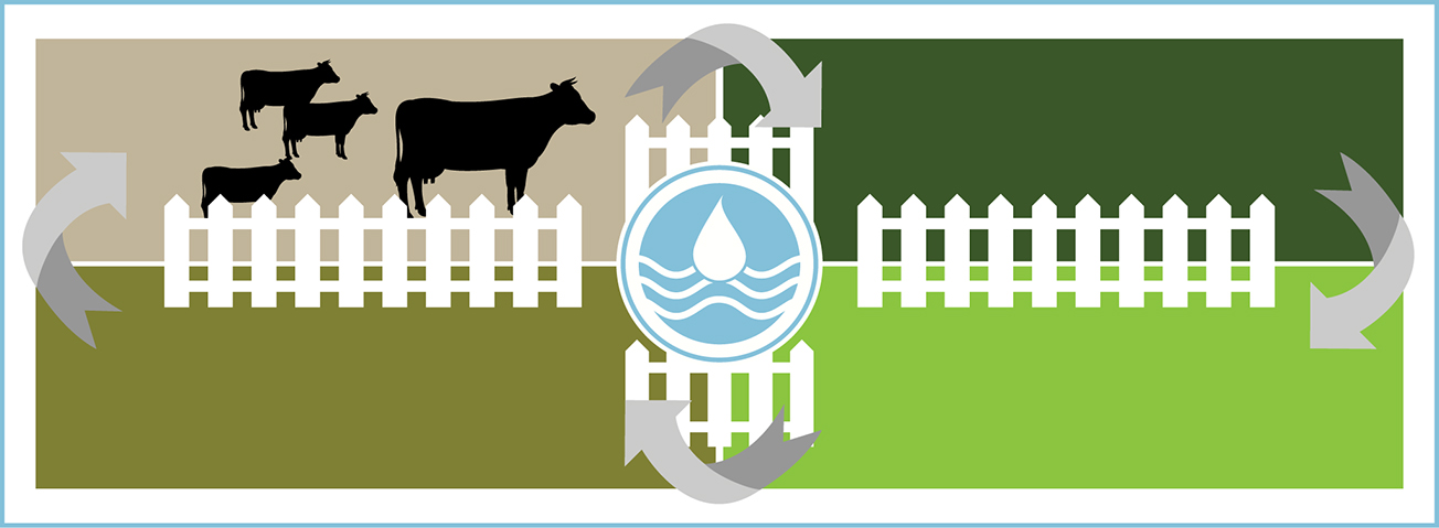 Graphic depicting rotational grazing system for cattle