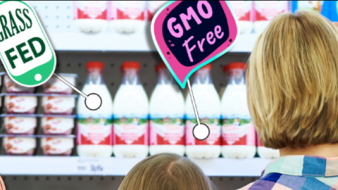 Two shoppers looking at an isle of dairy products with different label claims in breakouts expanded and highlighted on different products.