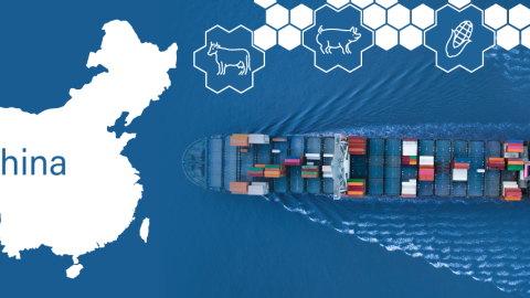 Graphic design showing map of China and container ship moving toward it