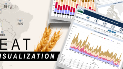 Illustration of wheat data visualization tool with map in background.