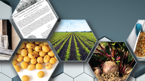 Graphic images with photos in hexagons showing loose seeds, planted fields, copy of a patent, and Contemplation of Justice at the U.S. Supreme Court