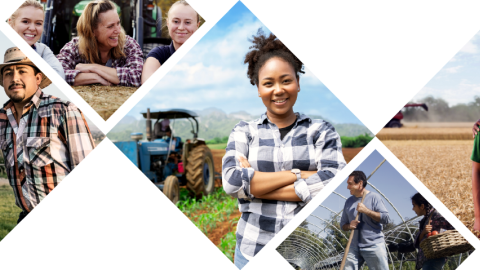 Photo collage of various farmers working.