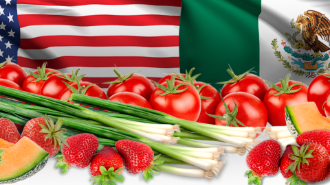 Photo illustration with U.S. and Mexican flags, cantaloupe, green onions, tomatoes, and strawberries.