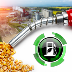 Cover image for Global Demand for Fuel Ethanol Through 2030