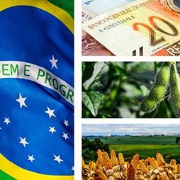 Cover image of Brazil's Agricultural Competitiveness: Recent Growth and Future Impacts under Currency Depreciation and Changing Macroeconomic Conditions