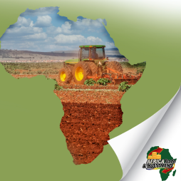 Cover image for Africa’s Agricultural Trade: Recent Trends Leading up to the African Continental Free Trade Area