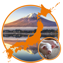 Report cover for The Impact of Recent Trade Agreements on Japan’s Pork Market