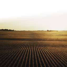 Cover image of Absent Landlords in Agriculture – A Statistical Analysis