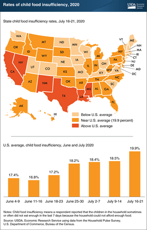 Child food insufficiency in mid-July 2020 varied by State