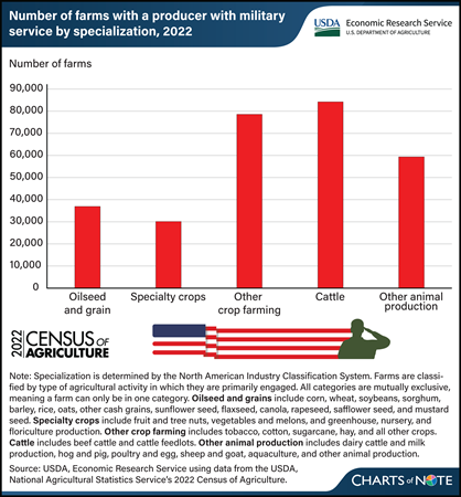 2022 Census of Agriculture: Cattle most often the choice of commodity for farm producers with military service