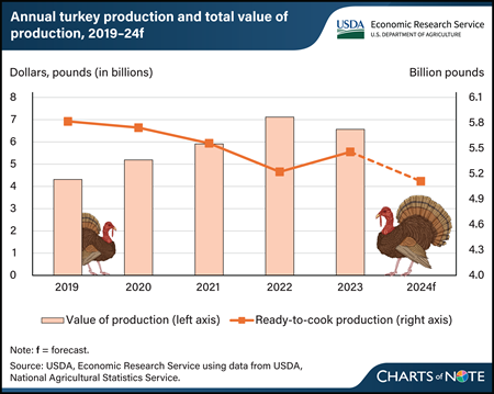 U.S. turkey production shows decline amid avian flu outbreak, increase in production values