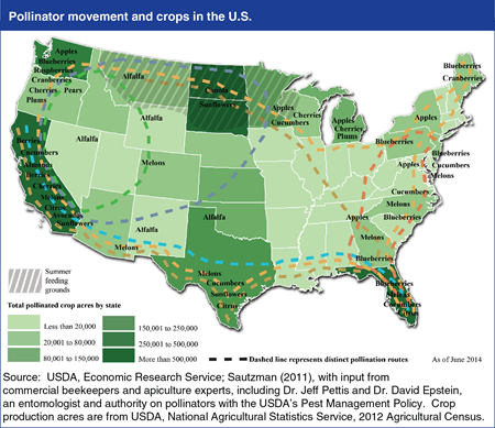 Editor's Pick 2014: <br>Nomadic commercial honey bee pollinators vital to some U.S. crops