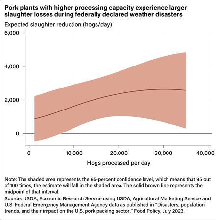 Line chart comparing numbers of hogs processed per day with expected slaughter reduction during federally declared weather disasters.