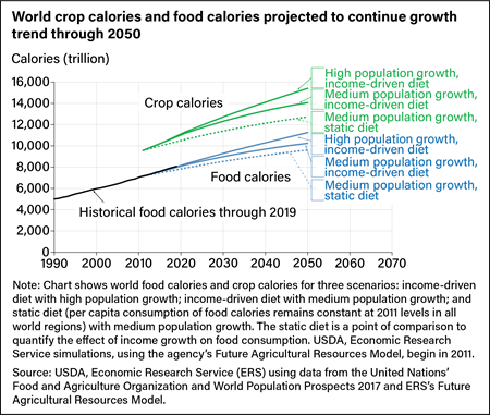 Line chart showing projected crop calories and food calories through 2050 and historical food calories trend from 1990 through 2019.