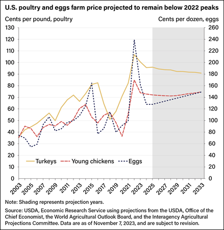 Line chart showing cents per pound for turkeys and young chickens and cents per dozen eggs between 2003 projected through 2033.