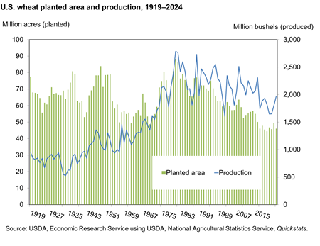 Bar chart showing planted area in million acres from 1919 to 2024 and line chart showing production in million bushels from 1919 to 2024