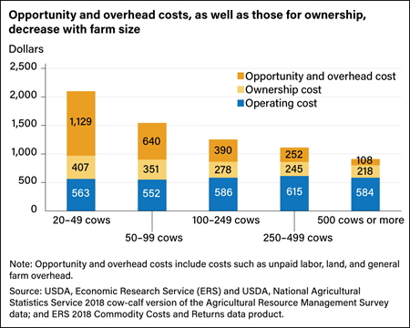 Vertical bar chart showing opportunity and overhead cost, ownership cost, and operating cost for farm sizes ranging from 20–49 beef cows to 500 cows or more.