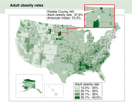 Adult obesity rates