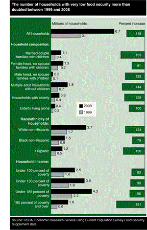 The number of households with very low food security more than doubled between 1999 and 2008