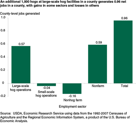 An additional 1,000 hogs at large-scale hog facilities in a county generates 0.96 net jobs in a county, with gains in some sectors and losses in others