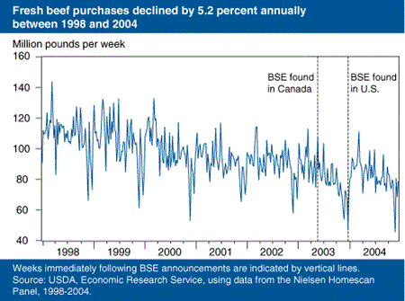 Fresh beef purchases declined by 5.2 percent annually between 1998 and 2004