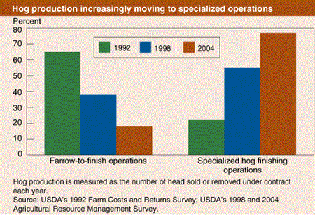 Hog production increasingly moving to specialized operations