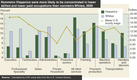 Nonmetro Hispanics were more likely to be concentrated in lower skilled and lower paid occupations than nonmero Whites, 2000