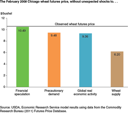 The February 2008 Chicago wheat futures price, without unexpected shocks to...