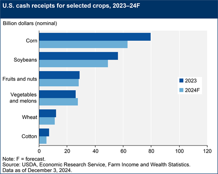 A bar chart shows U.S. cash receipts in nominal dollars for corn, soybeans, cotton, and wheat, for the years 2023 and a forecast for 2024.