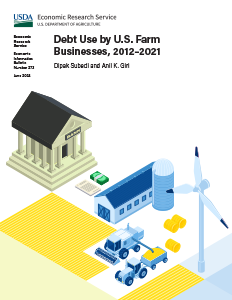 This is the cover image for the Debt Use by U.S. Farm Businesses, 2012–2021 report.
