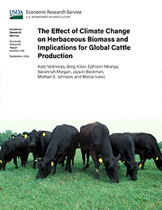 This is the cover image for the The Effect of Climate Change on Herbaceous Biomass and Implications for Global Cattle Production report.