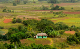 This is the newsroom image of the Cuba’s Deteriorating Food Security and Its Implications for U.S. Agricultural Exports report.