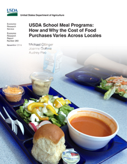 Photo of a school meal tray containing salad, soup, roll, condiments and plastic cutlery in the foreground and a small milk carton and second meal tray in the background.